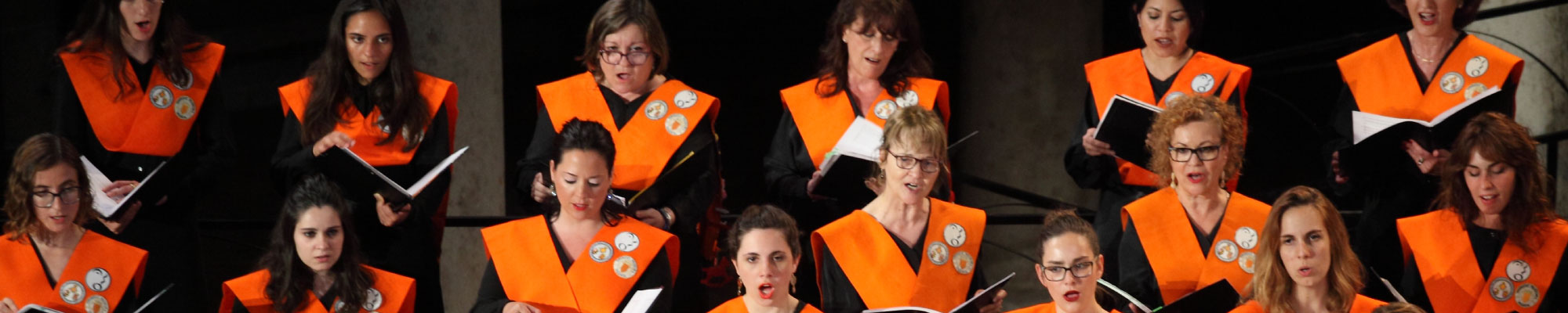 Orfeó Universitari de València.